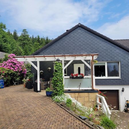 Gaestezimmer Haus Talblick Lautenthal Екстериор снимка