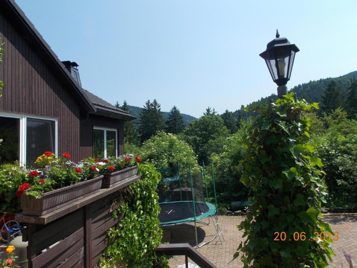 Gaestezimmer Haus Talblick Lautenthal Екстериор снимка