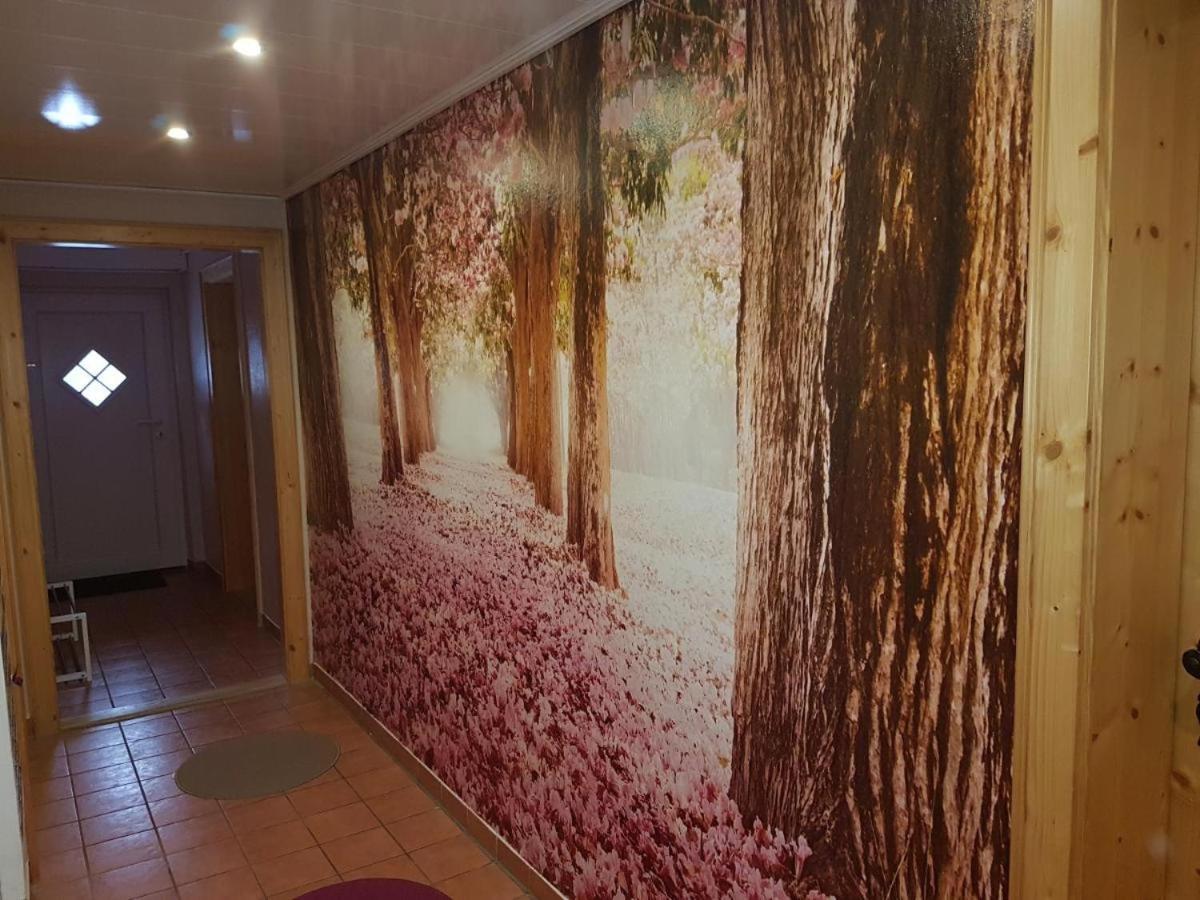 Gaestezimmer Haus Talblick Lautenthal Екстериор снимка