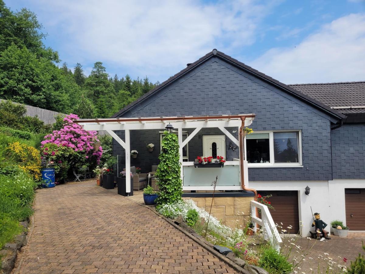 Gaestezimmer Haus Talblick Lautenthal Екстериор снимка