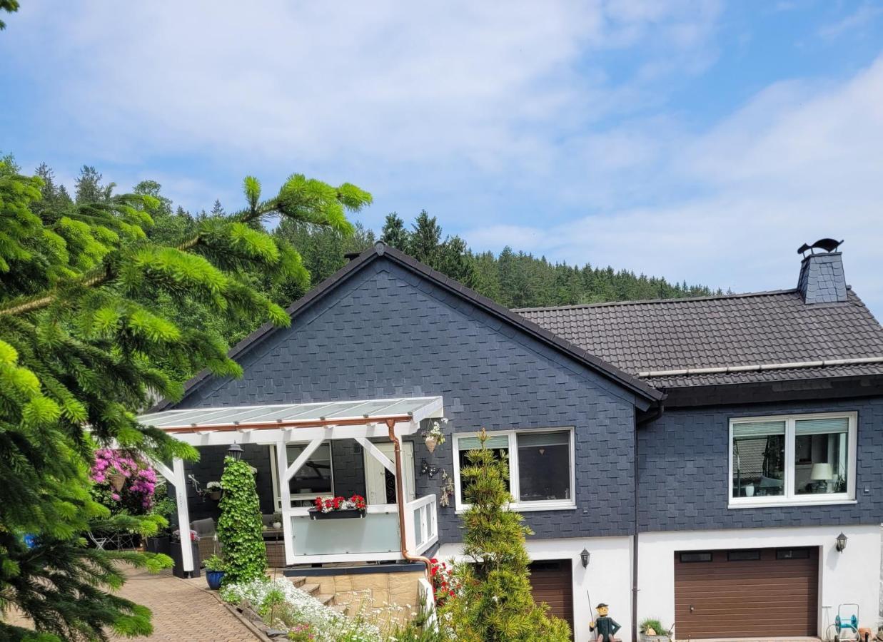 Gaestezimmer Haus Talblick Lautenthal Екстериор снимка