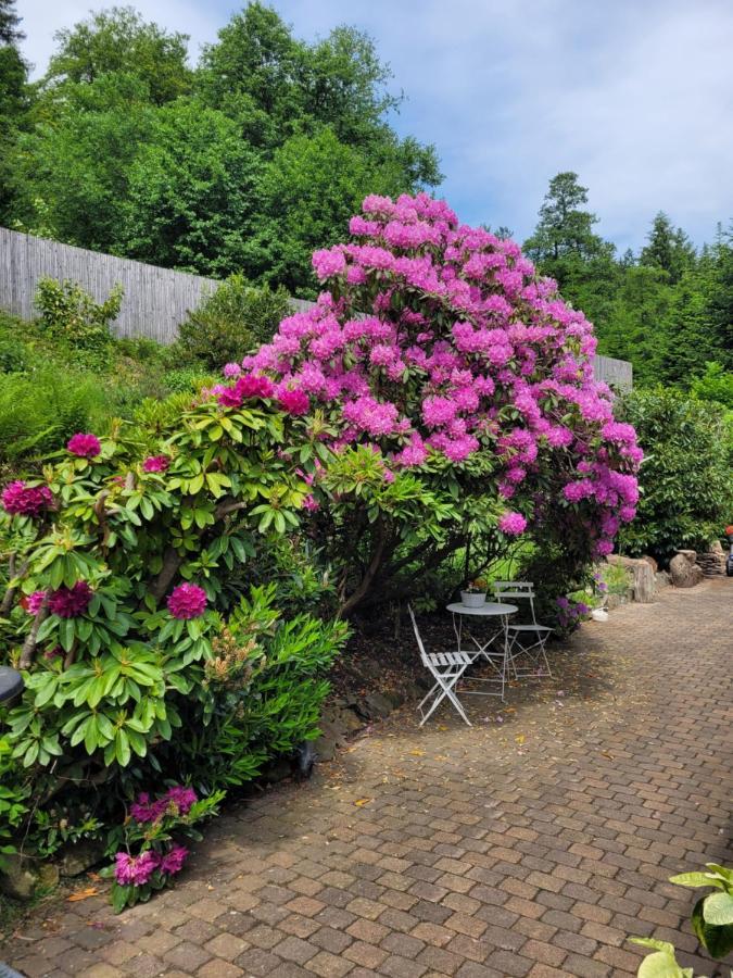 Gaestezimmer Haus Talblick Lautenthal Екстериор снимка