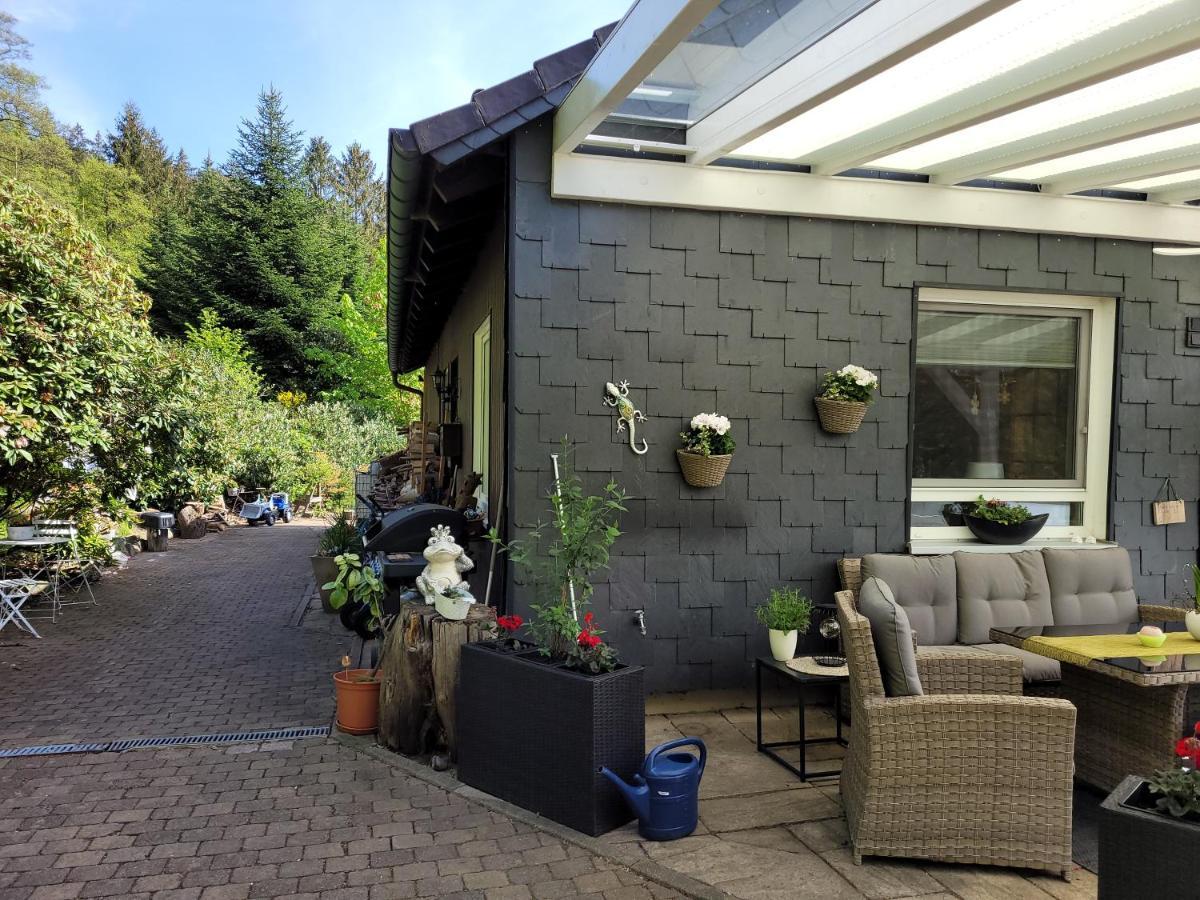 Gaestezimmer Haus Talblick Lautenthal Екстериор снимка