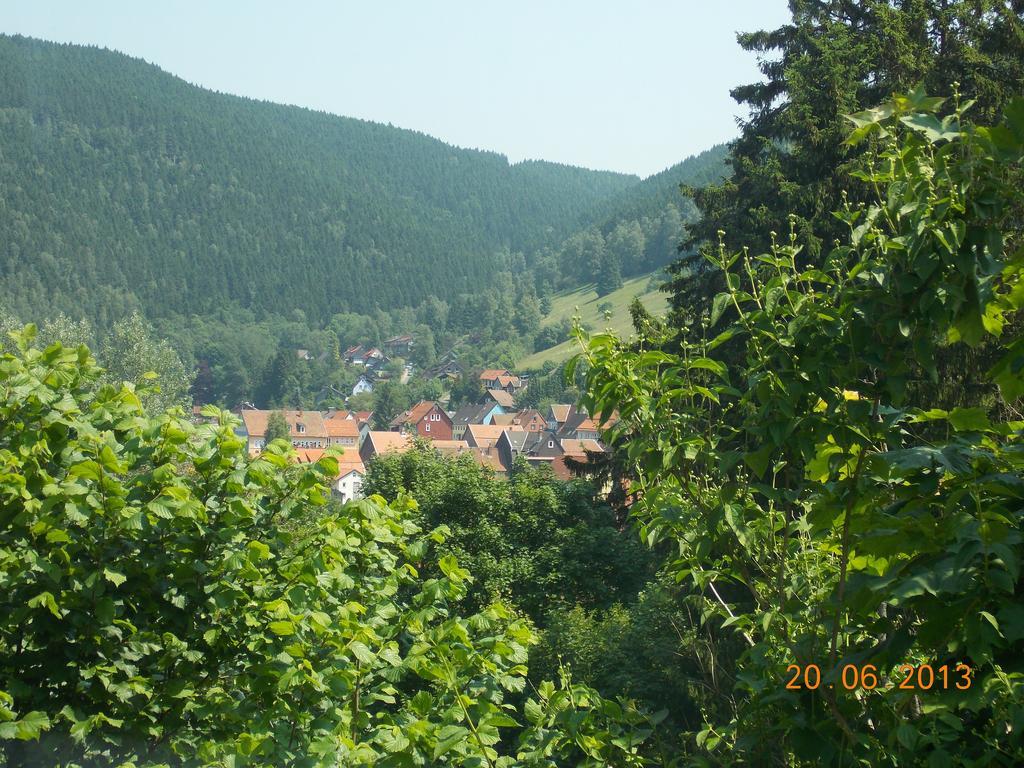 Gaestezimmer Haus Talblick Lautenthal Екстериор снимка